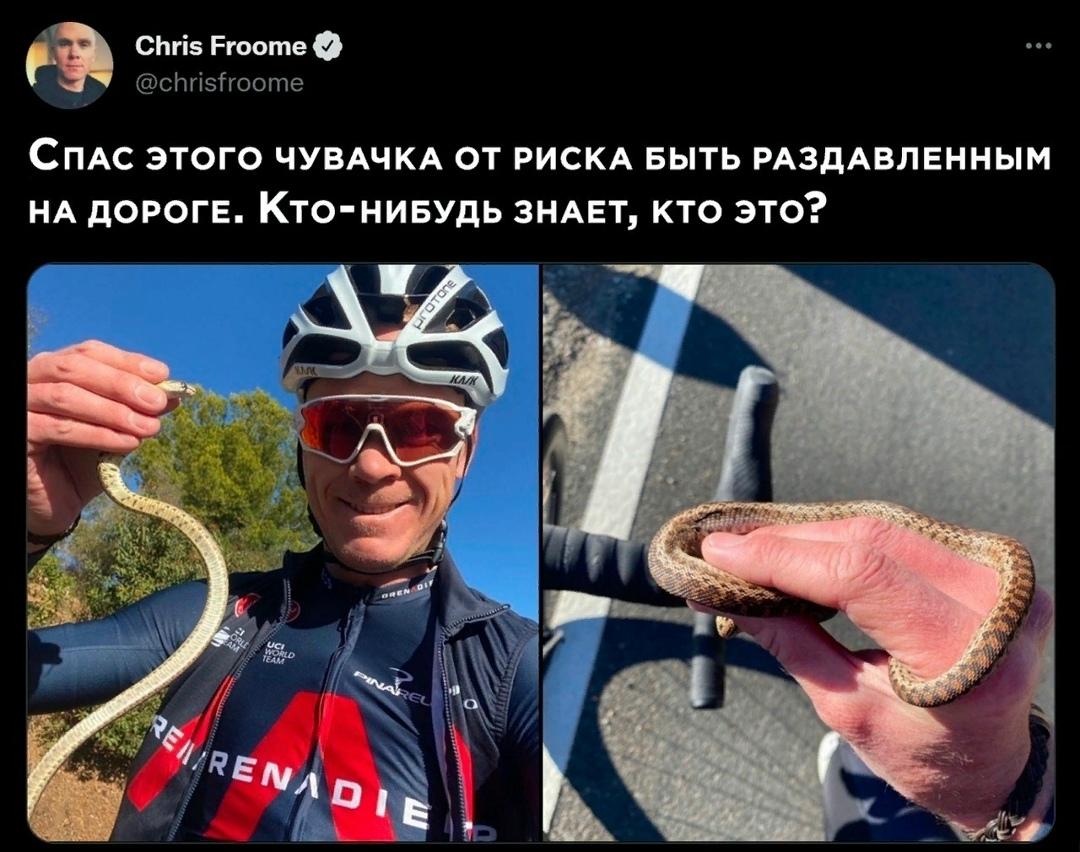 А я то думал что речь вообще про мужика идет