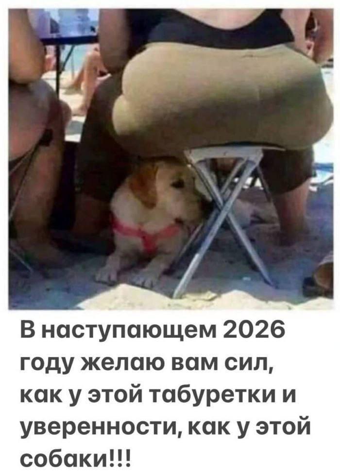 Без комментария