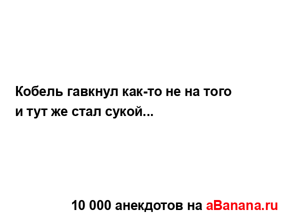 Кобель гавкнул как-то не на того и тут же стал сукой......