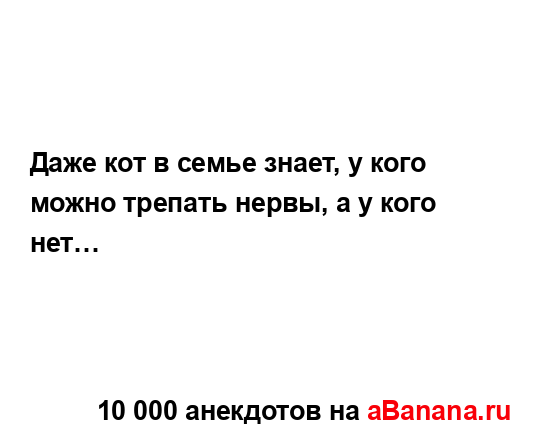 Даже кот в семье знает, у кого можно трепать нервы, а у...