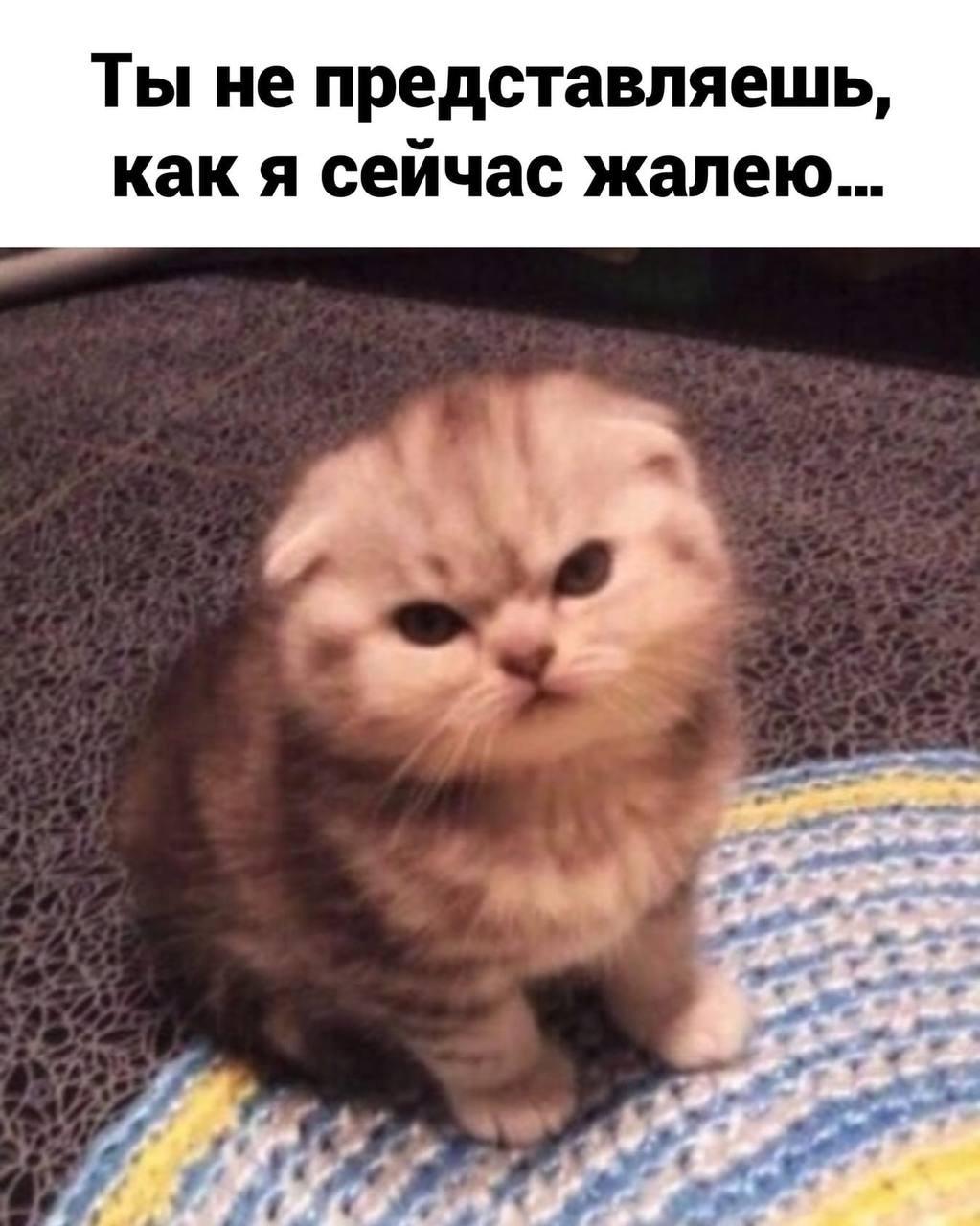 Это был лучший подарок