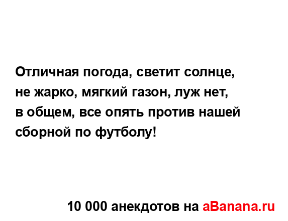 Отличная погода, светит солнце, не жарко, мягкий газон,...