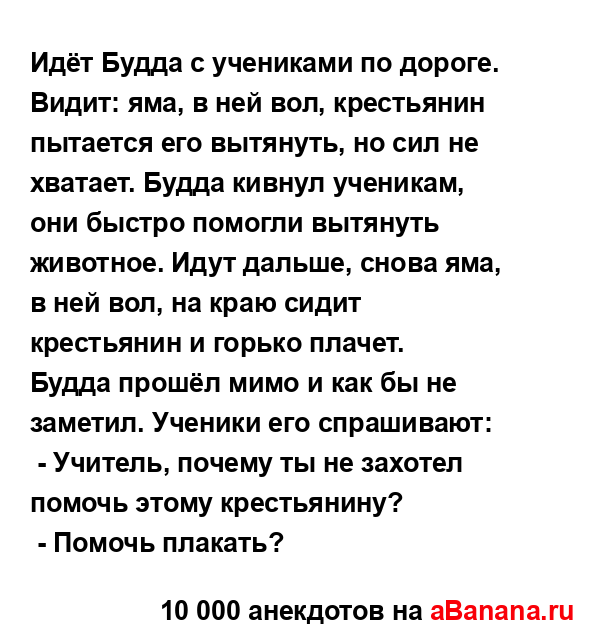 Идёт Будда с учениками по дороге. Видит: яма, в ней вол,...