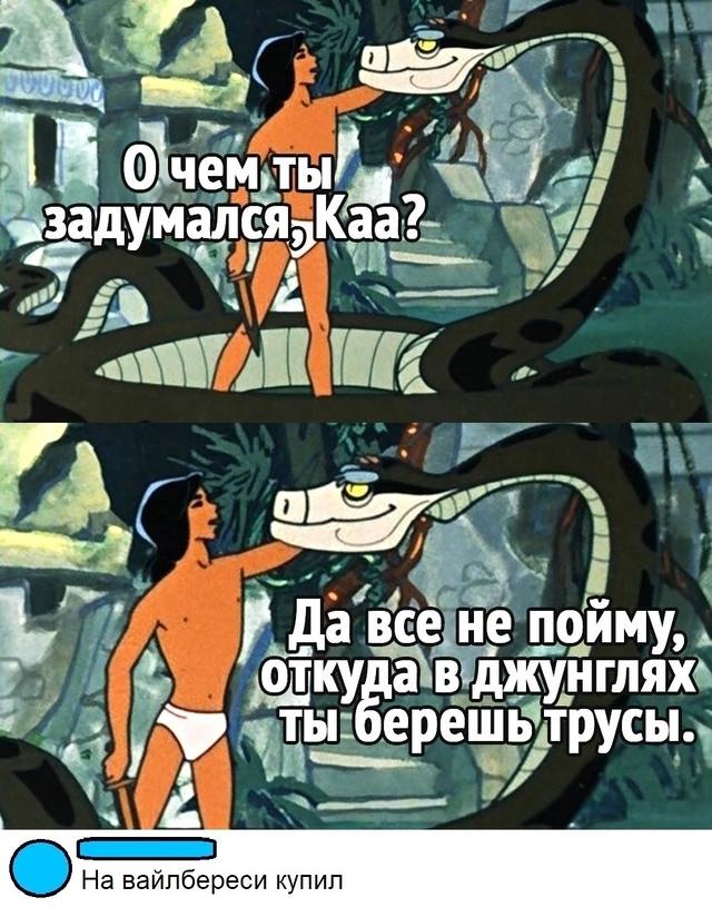 Мир ваших возможностей безграничен