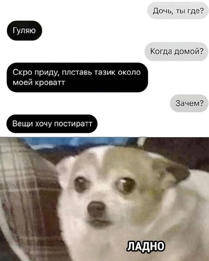Без комментария