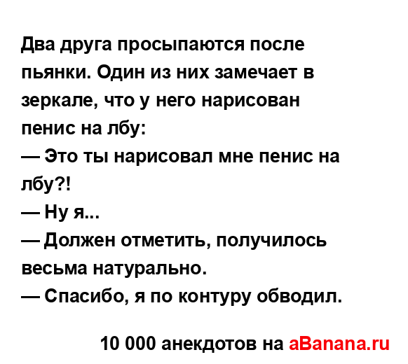 Два друга просыпаются после пьянки. Один из них...