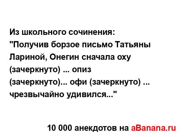 Из школьного сочинения:
...