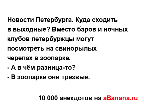 Новости Петербурга. Куда сходить в выходные? Вместо...