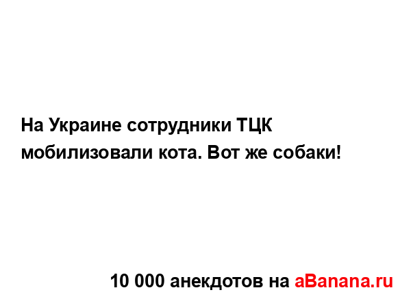 На Украине сотрудники ТЦК мобилизовали кота. Вот же...