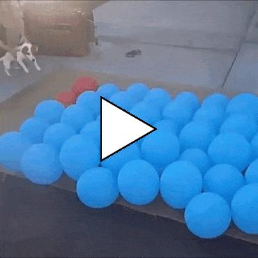 Без комментария