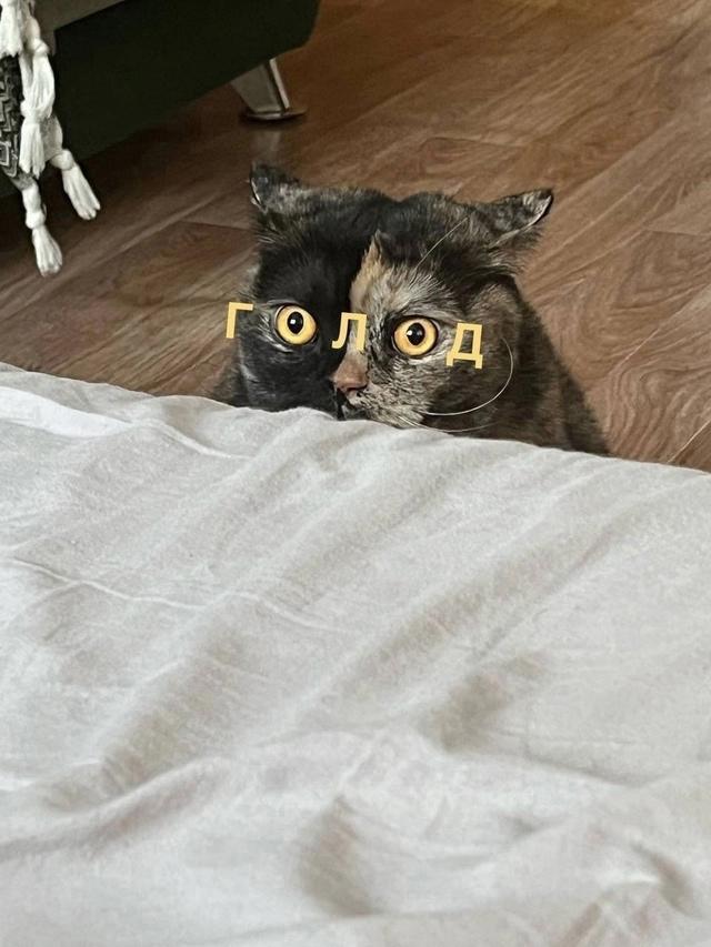 Глаза говорят о многом