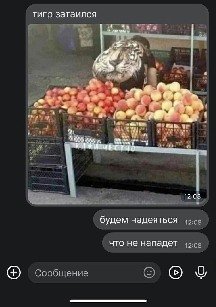 Без комментария