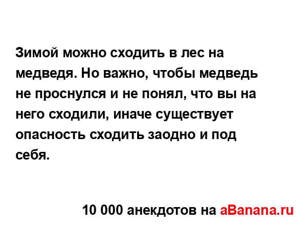 Зимой можно сходить в лес на медведя. Но важно, чтобы...