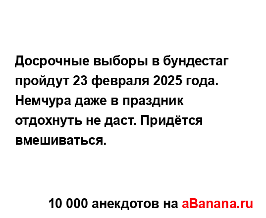 Досрочные выборы в бундестаг пройдут 23 февраля 2025...