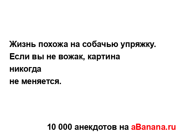 Жизнь похожа на собачью упряжку. Если вы не вожак,...