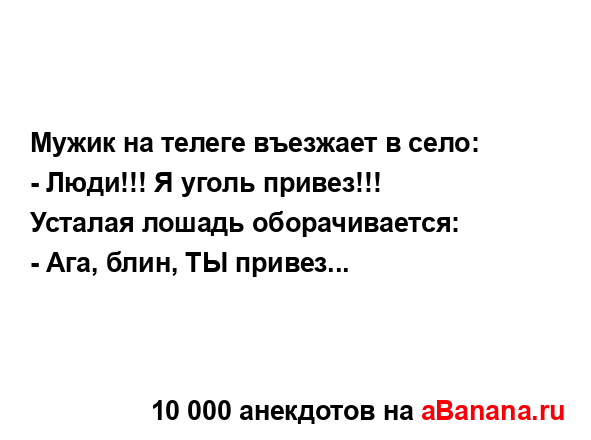 Мужик на телеге въезжает в село:...