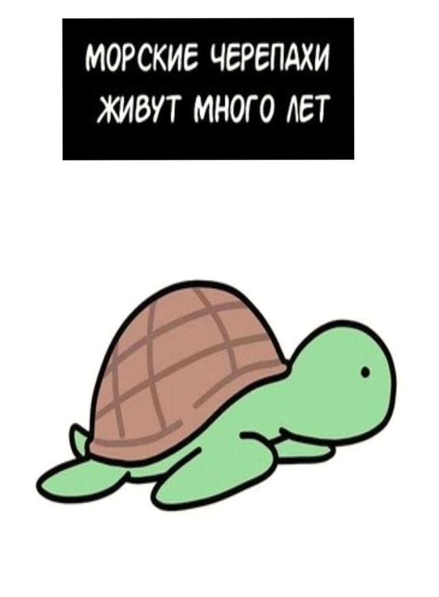 Зелёная плохого не посоветует