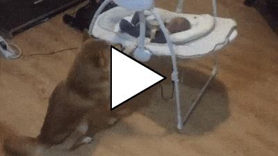 Без комментария