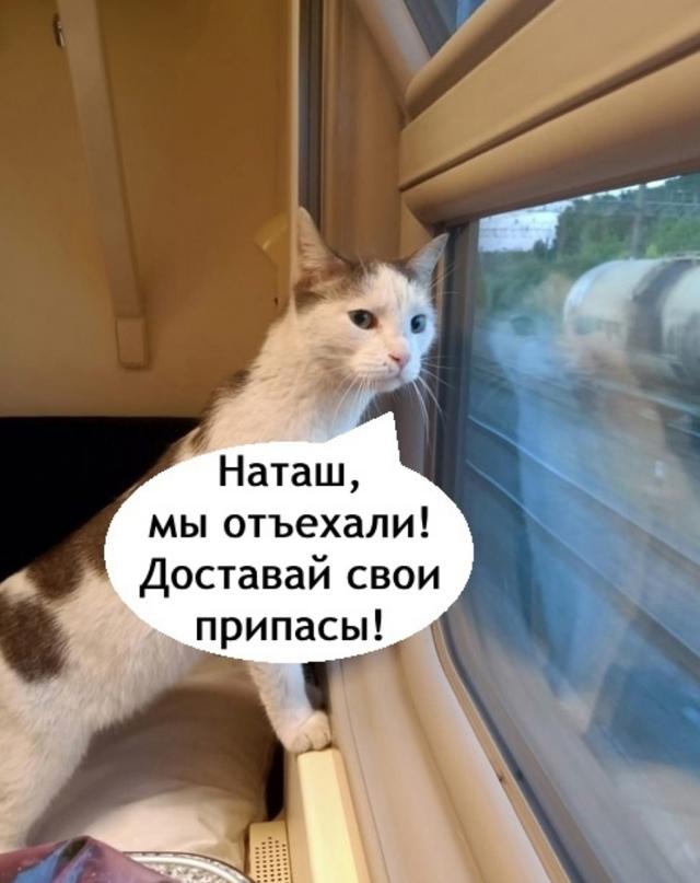 Мне бы на его место