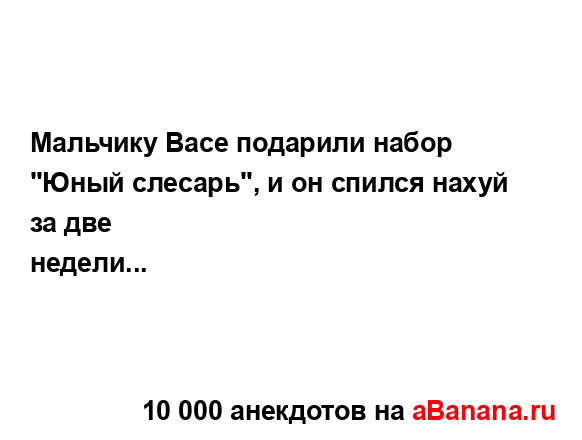 Мальчику Васе подарили набор "Юный слесарь", и он...