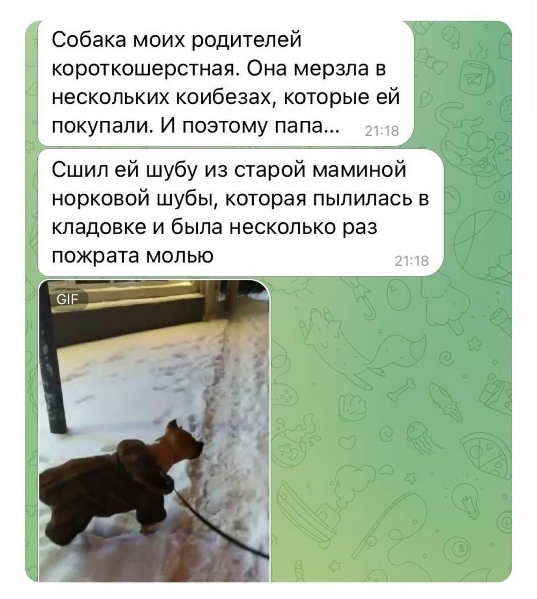 У бабок возле подъезда наверное истерика была