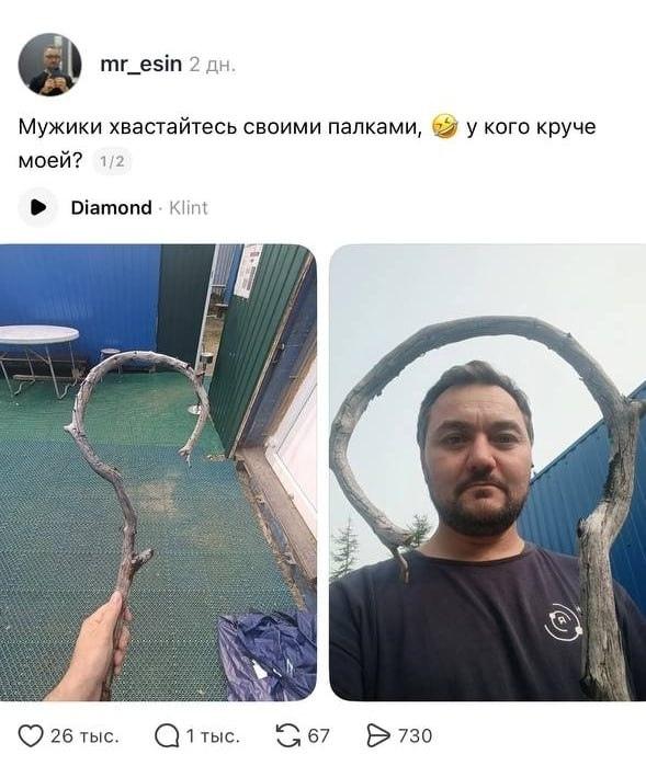В сети взорвалась ветка с самыми эффектными ветками: парни наперебой делились фото своих «трофеев» — самых невероятных по форме и размеру