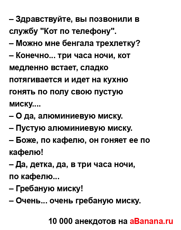 – Здравствуйте, вы позвонили в службу "Кот по...