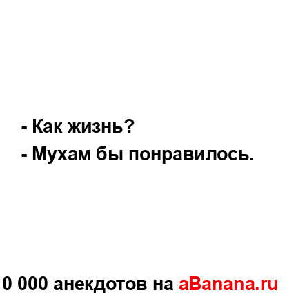 - Как жизнь?
...