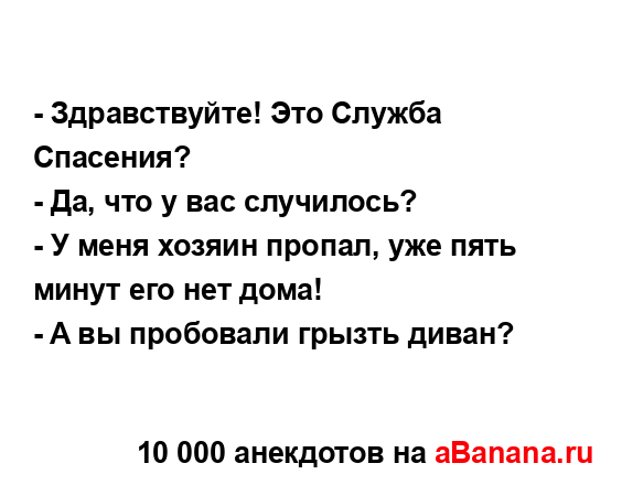 - Здравствуйте! Это Служба Спасения?
...