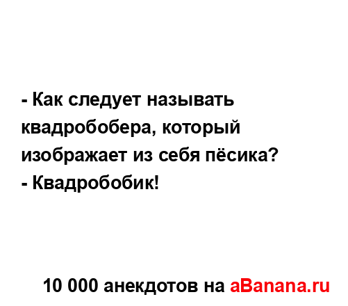 - Как следует называть квадробобера, который...