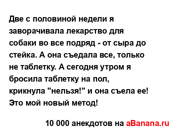 Две с половиной недели я заворачивала лекарство для...