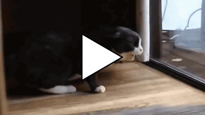 Без комментария