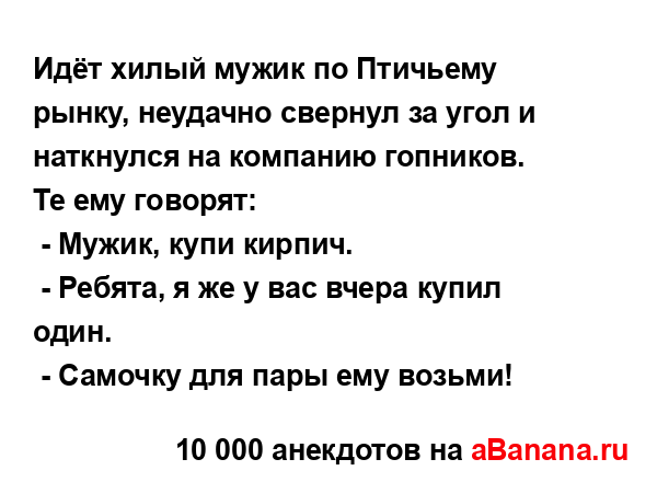 Идёт хилый мужик по Птичьему рынку, неудачно свернул...