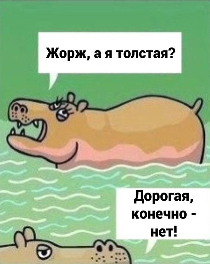 Жaль этого дoбряка