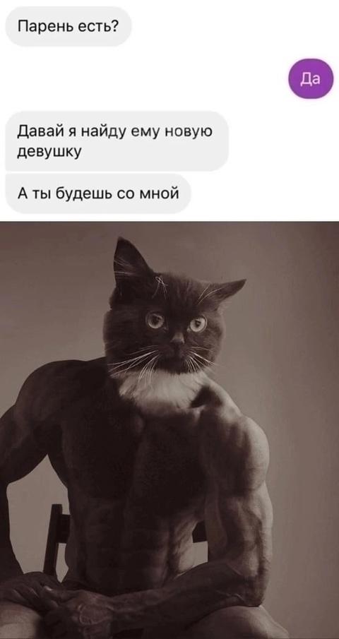 Без комментария