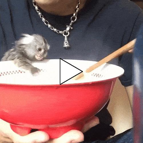 Без комментария