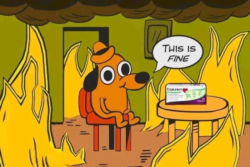 Моя последняя нервная клетка в этом году 😁