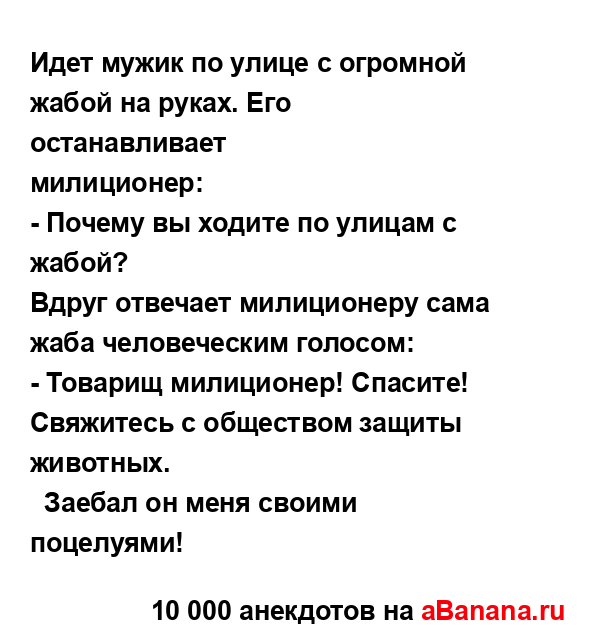 Идет мужик по улице с огромной жабой на руках. Его...