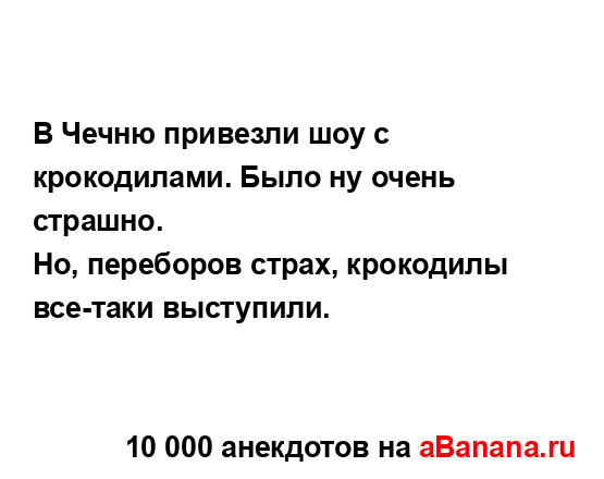 В Чечню привезли шоу с крокодилами. Было ну очень...