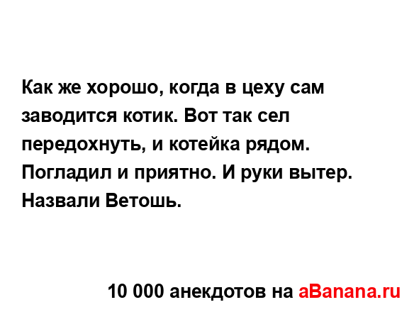 Как же хорошо, когда в цеху сам заводится котик. Вот так...