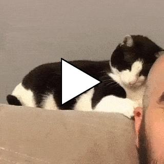 Без комментария