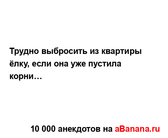 Трудно выбросить из квартиры ёлку, если она уже...
