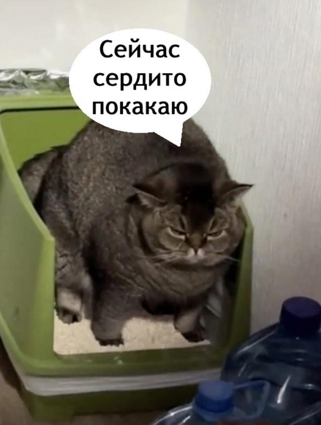 И так делает каждый