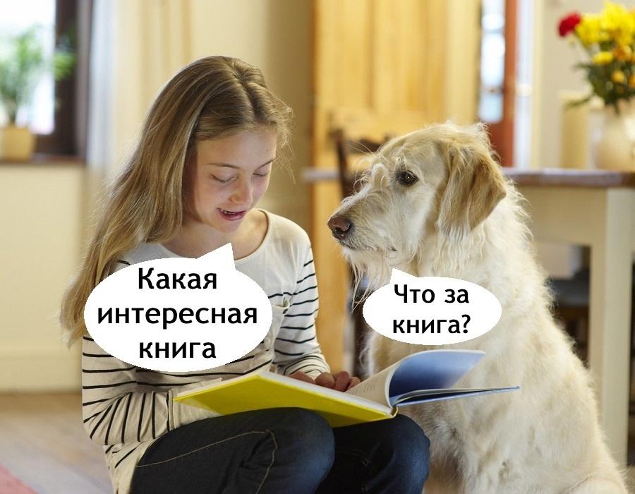 шутка вышла из под контроля