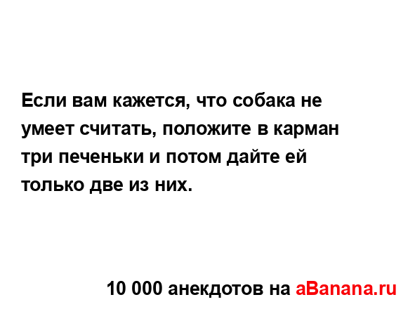 Если вам кажется, что собака не умеет считать, положите...