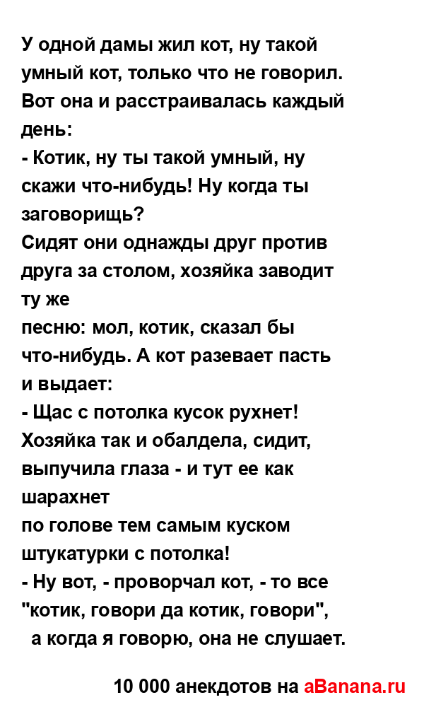 У одной дамы жил кот, ну такой умный кот, только что не...