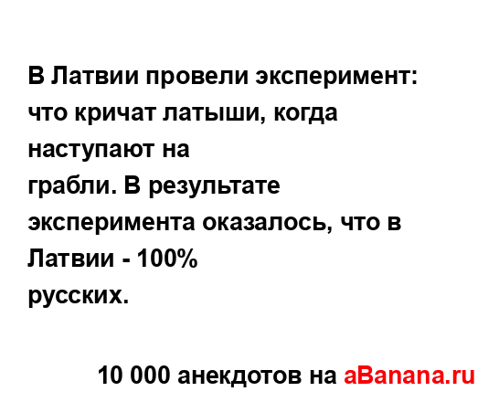 В Латвии провели эксперимент: что кричат латыши, когда...