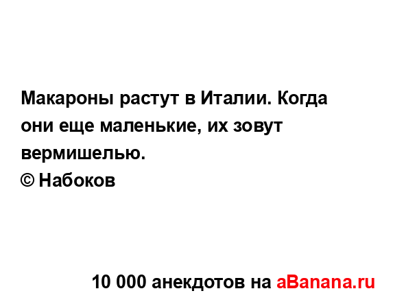 Макароны растут в Италии. Когда они еще маленькие, их...
