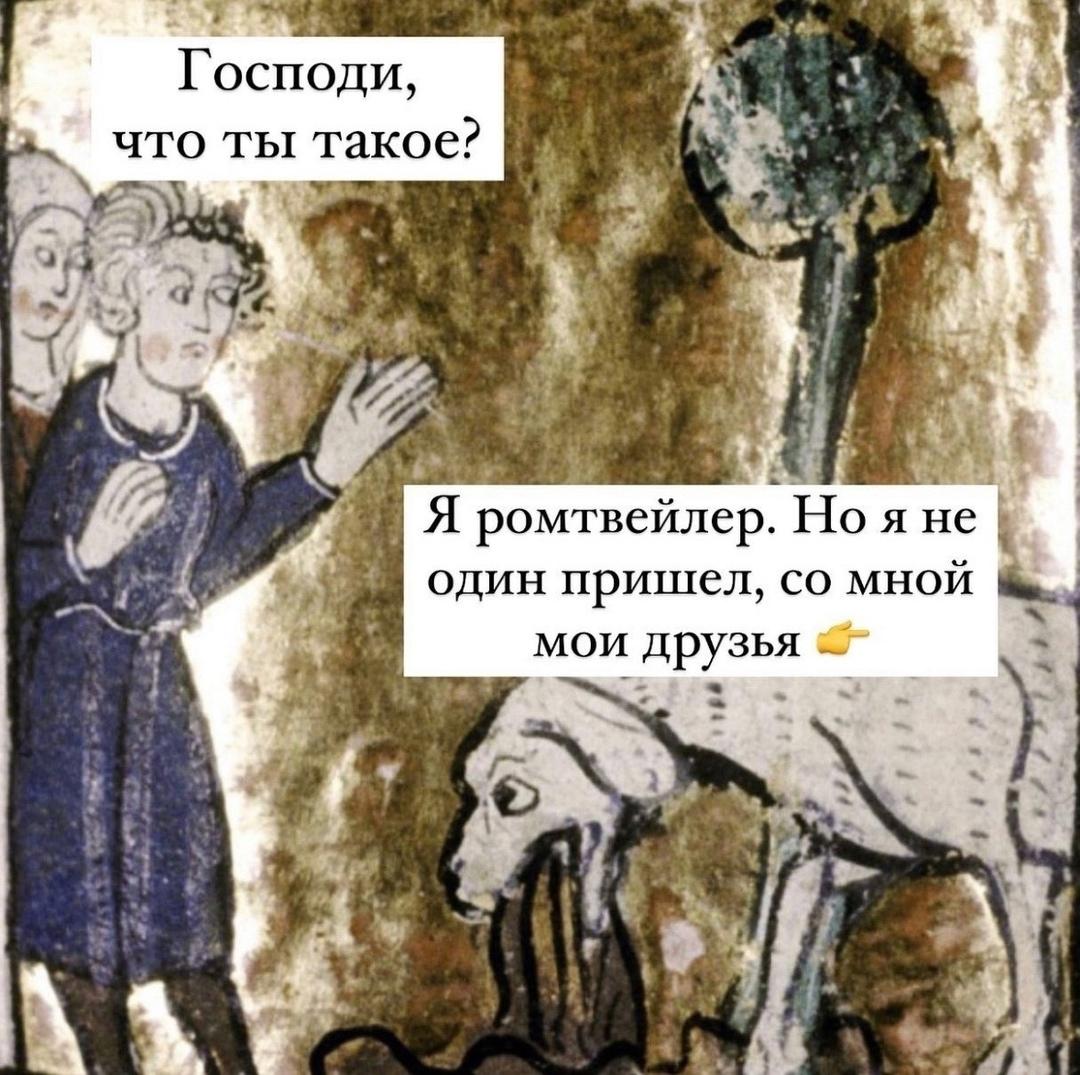 Такие породы собак нам нравятся