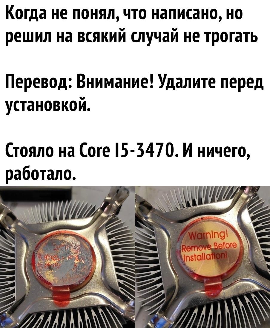 Образование – путь к свободе